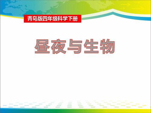 《昼夜与生物》PPT【完美版课件】