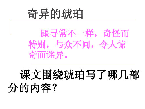 小学六年级上册语文：奇异的琥珀_课件1
