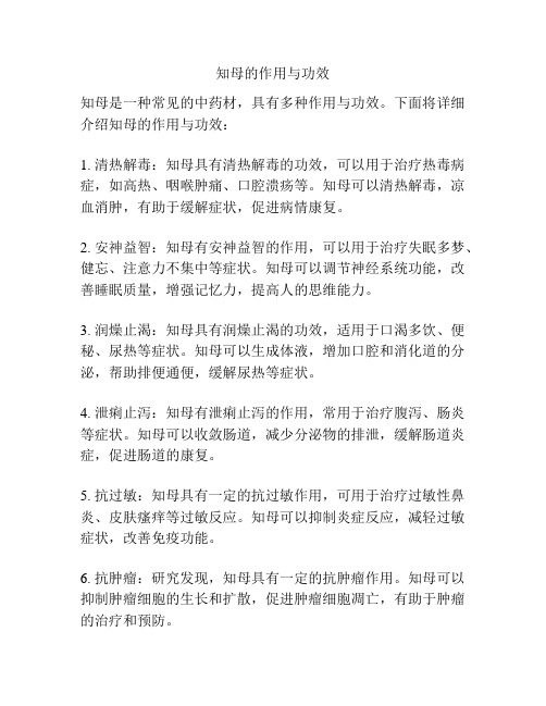 知母的作用与功效