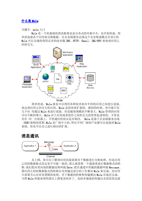 Mule知识.doc