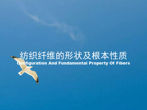 纺织纤维的形态及基本性质ppt课件