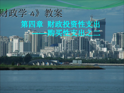 财政投资性支出购买性支出之二