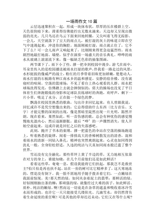 中小学精选一场雨作文