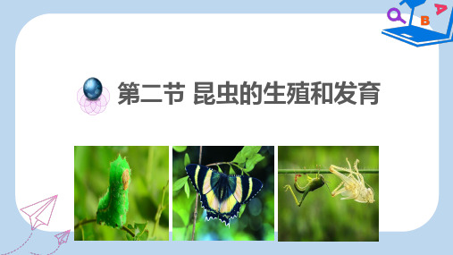 【精选】八年级生物下册7.1.2昆虫的生殖和发育课件1新版新人教版
