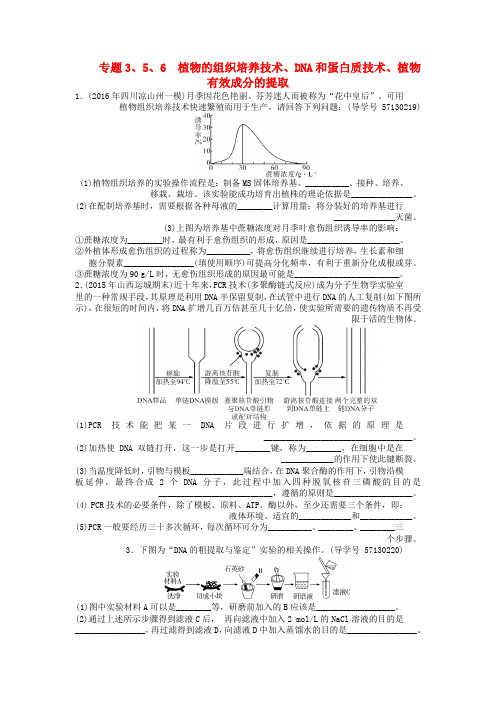 2018年高考生物总复习专题3植物的组织培养技术专题5DNA和蛋白质技术专题6植物有效成分的提任时作业选修1