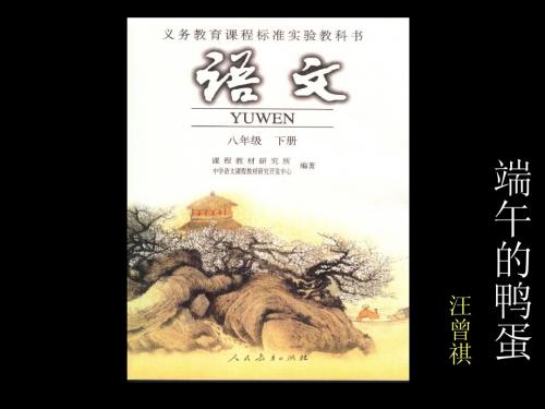 17《端午的鸭蛋》