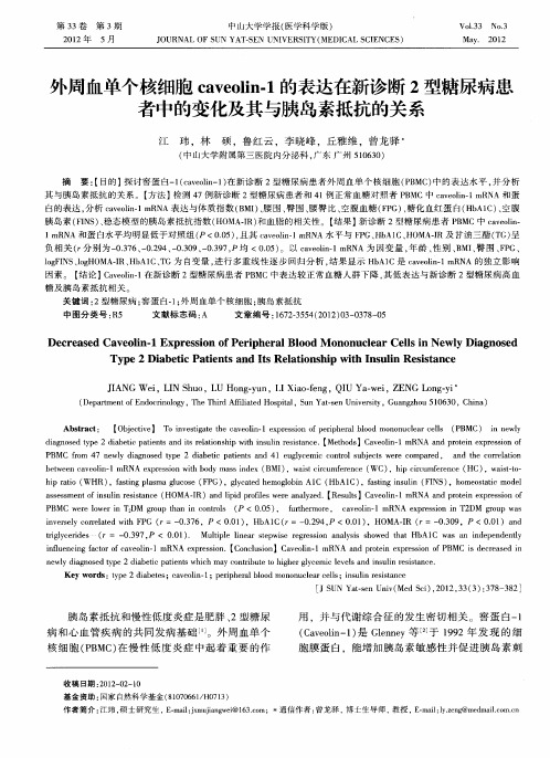 外周血单个核细胞caveolin-1的表达在新诊断2型糖尿病患者中的变化及其与胰岛素抵抗的关系