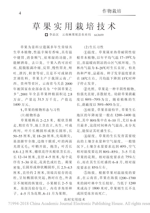 草果实用栽培技术_李品汉