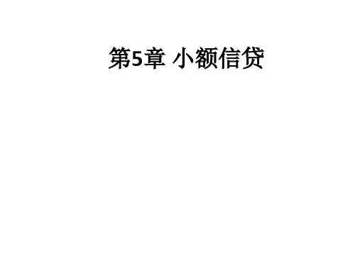 第5章 小额信贷ppt课件