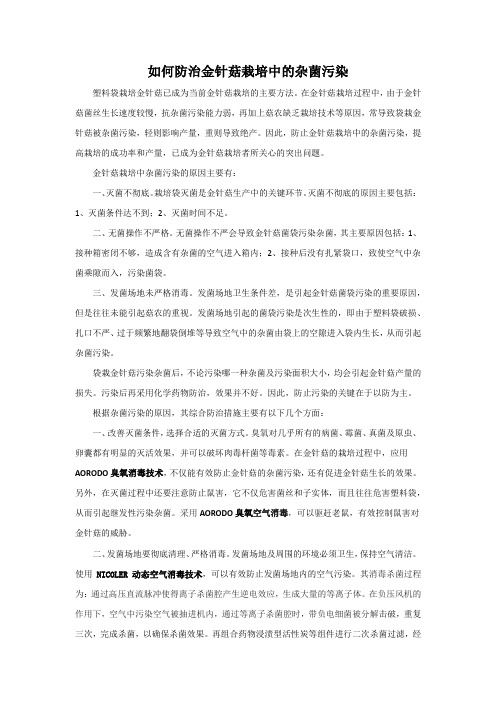 如何防治金针菇栽培中的杂菌污染