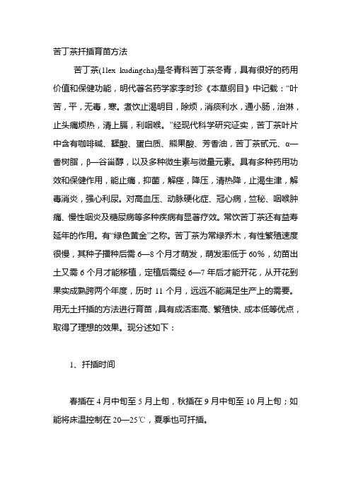 苦丁茶扦插育苗方法