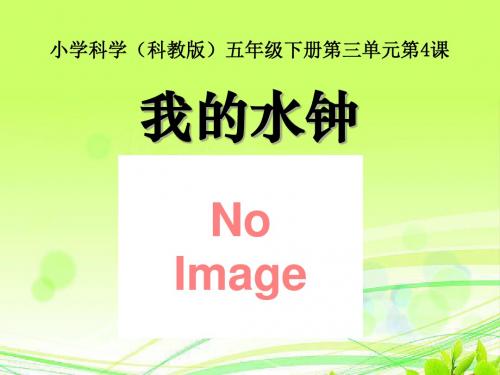 《我的水钟》时间的测量PPT课件3
