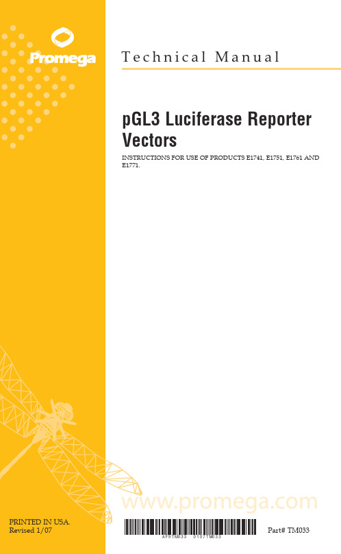 PGL3-Basic Vector