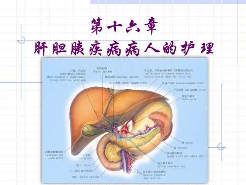第十六章 第五节-肝脓肿