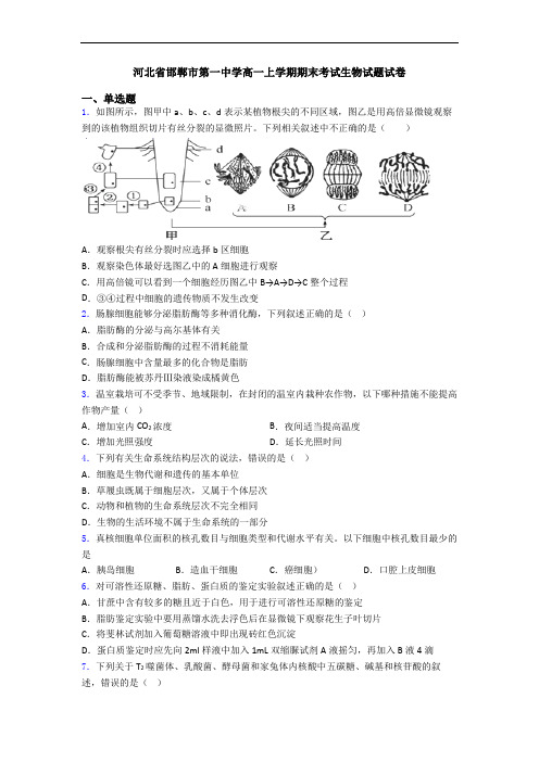 河北省邯郸市第一中学高一上学期期末考试生物试题试卷