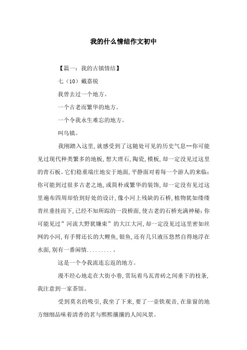 我的什么情结作文初中