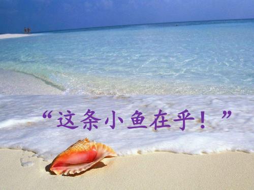 《”这条小鱼在乎!“》课件