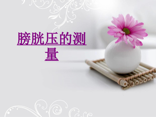 医学膀胱压的测量专题课件