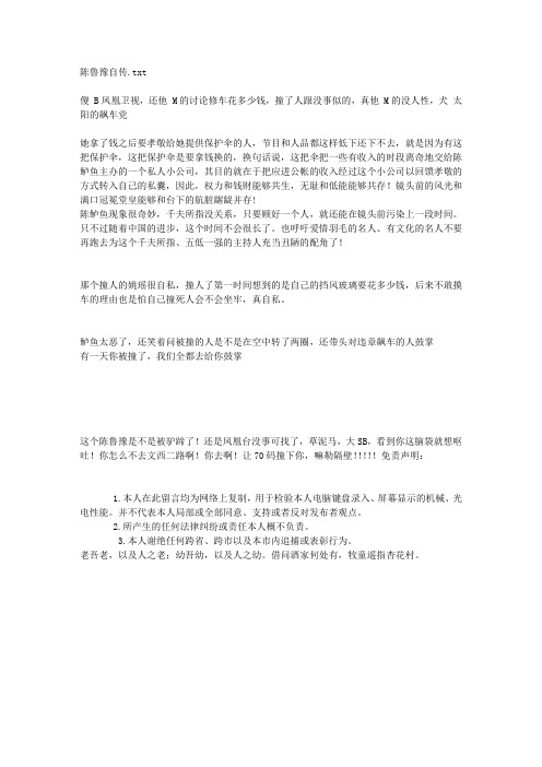 陈鲁豫自传