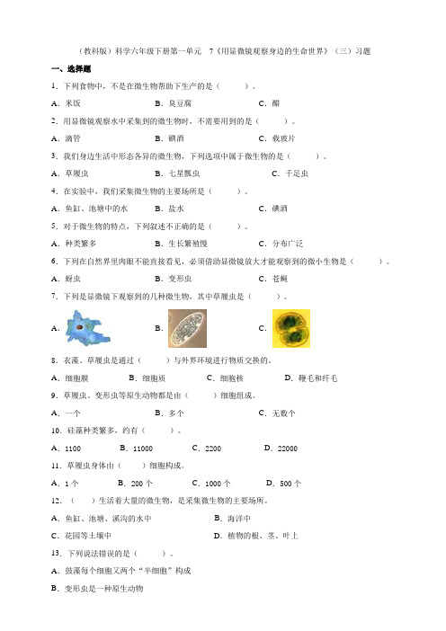 六年级下册科学试题-- 7《用显微镜观察身边的生命世界》(三)习题   教科版(含答案)