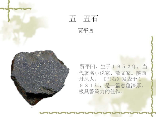 丑石课件78248