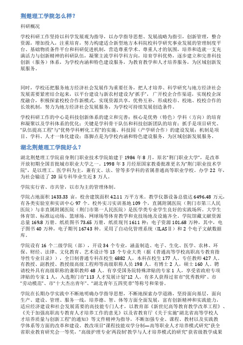 荆楚理工学院论文范文