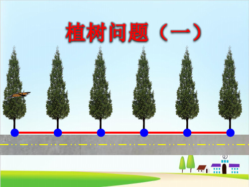 【北师大版】教材植树上课课件1