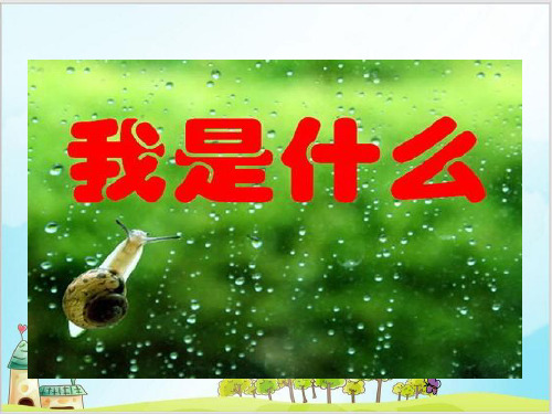 部编教材二年级上册语文《我是什么》精美PPT