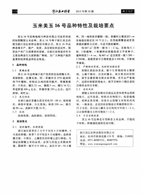 玉米美玉16号品种特性及栽培要点