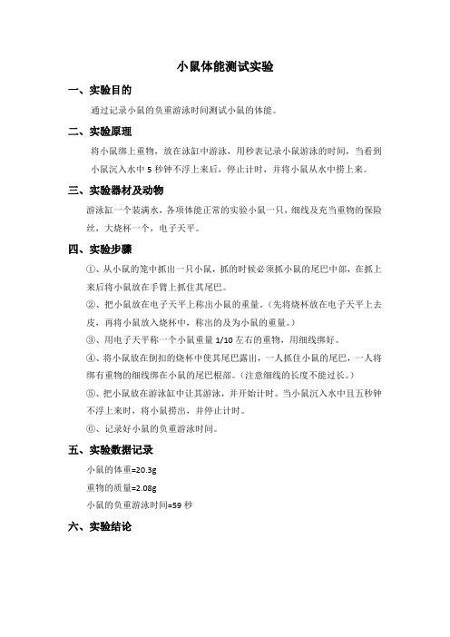 小鼠体能测试实验