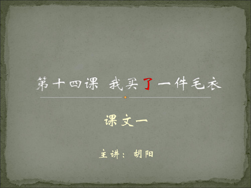 对外汉语教学——第十四课《我有一件毛衣》