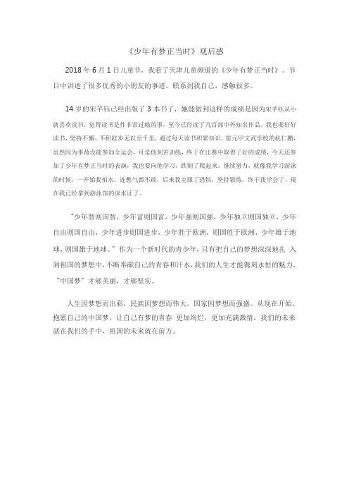 少年有梦正当时观后感