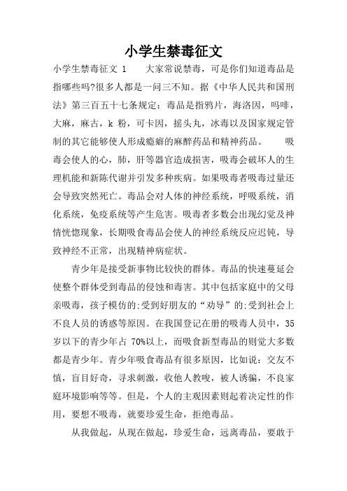 小学生禁毒征文