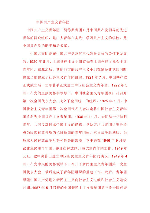 共青团理论2