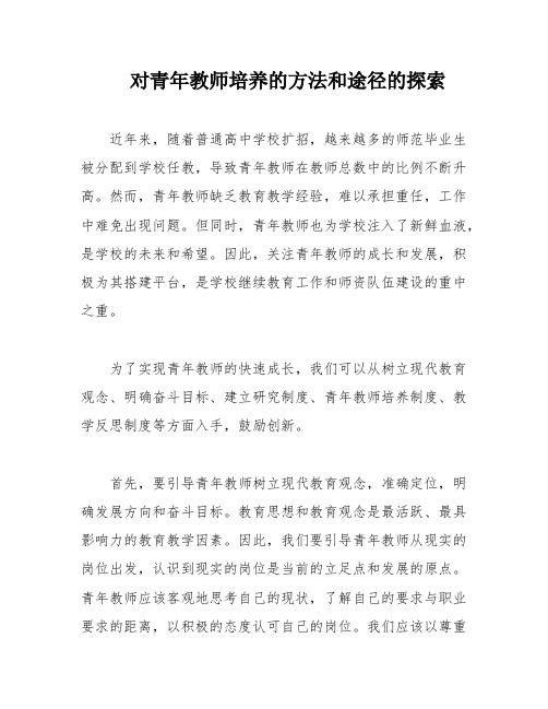 对青年教师培养的方法和途径的探索