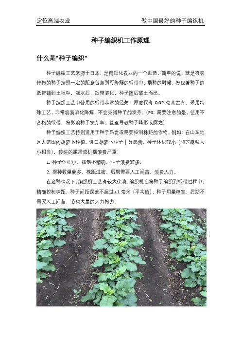 种子编织机工作原理