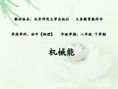 北师大版(北京) 八年级全一册第六章功和能_第四节机械能 (2)