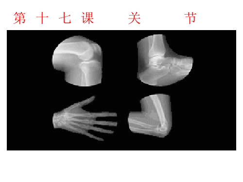 青岛版科学三年级下册第十七课关节