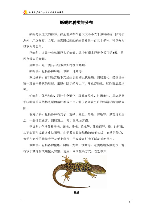 蜥蜴的种类与分布.