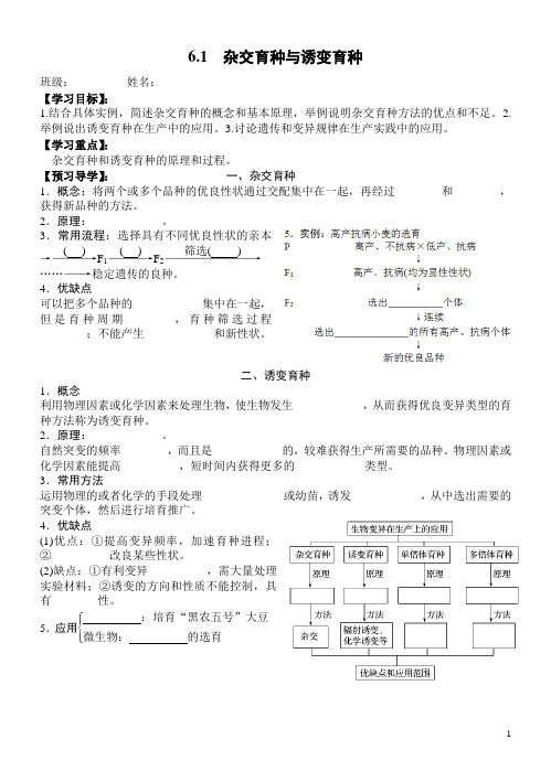 第六章 从杂交育种到基因工程  教案