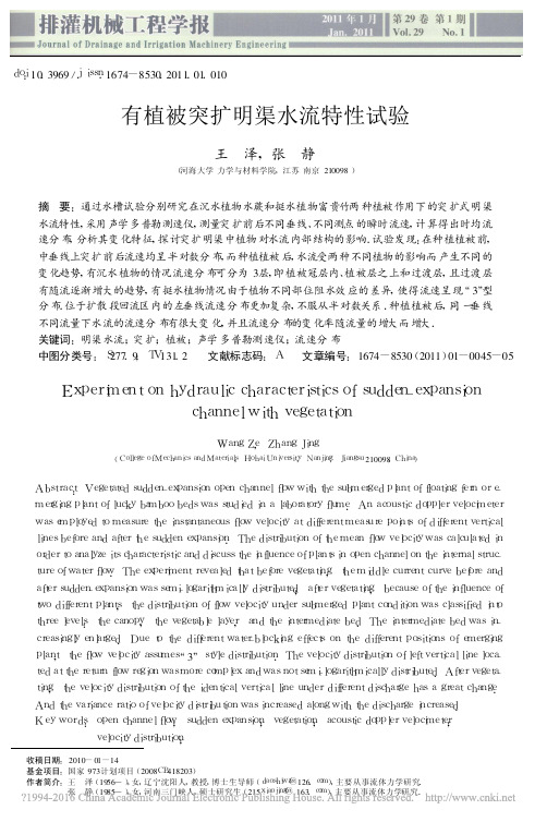 有植被突扩明渠水流特性试验_王泽