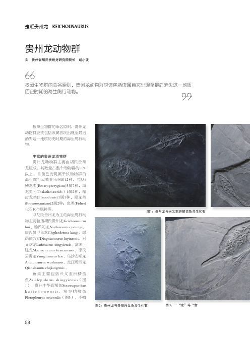 贵州龙动物群