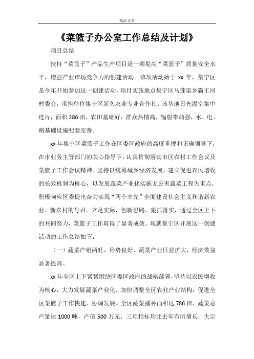 《菜篮子办公室工作总结及计划》