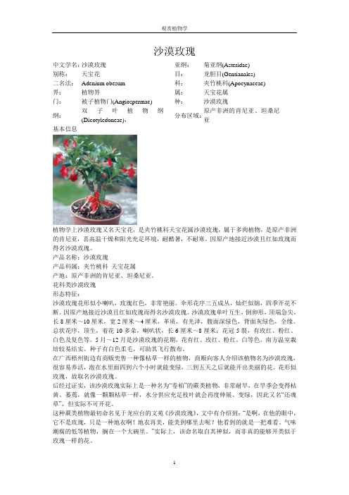 沙漠玫瑰