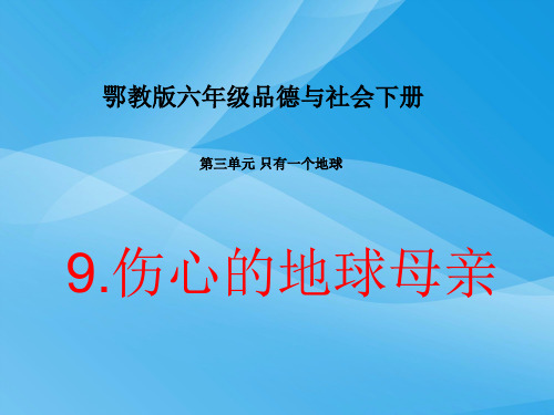 伤心的地球母亲优质课件PPT