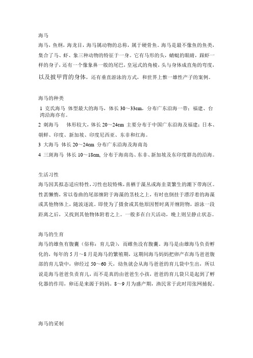 海马种类大全