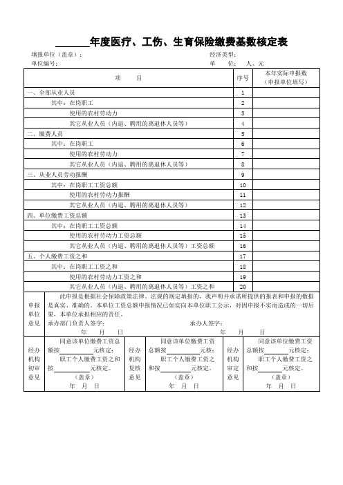 09年工资总额核定表
