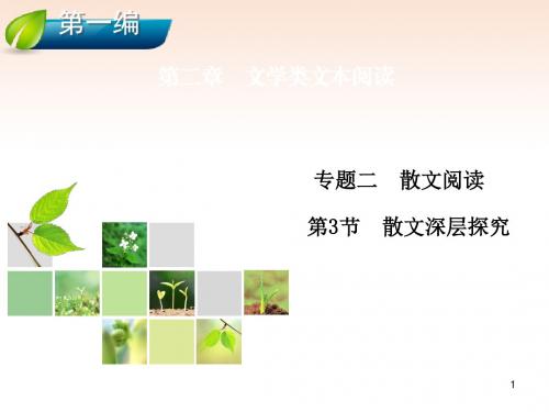 高考语文总复习 第2章 专题2 第3节 散文深层探究课件 新人教版