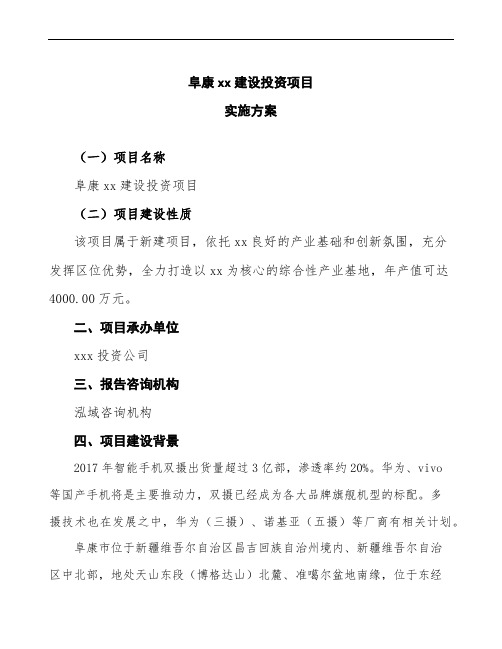 阜康项目实施方案(项目说明模板)