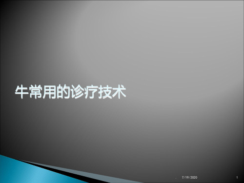 牛常用的诊疗技术演示PPT课件